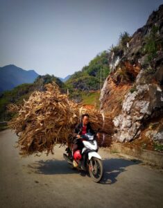 local tours ha giang