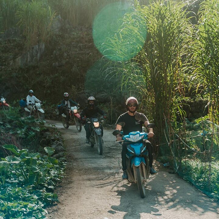 local tours ha giang