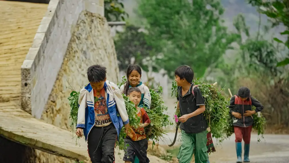 day 3-3 days true north ha giang loop flipside vietnam