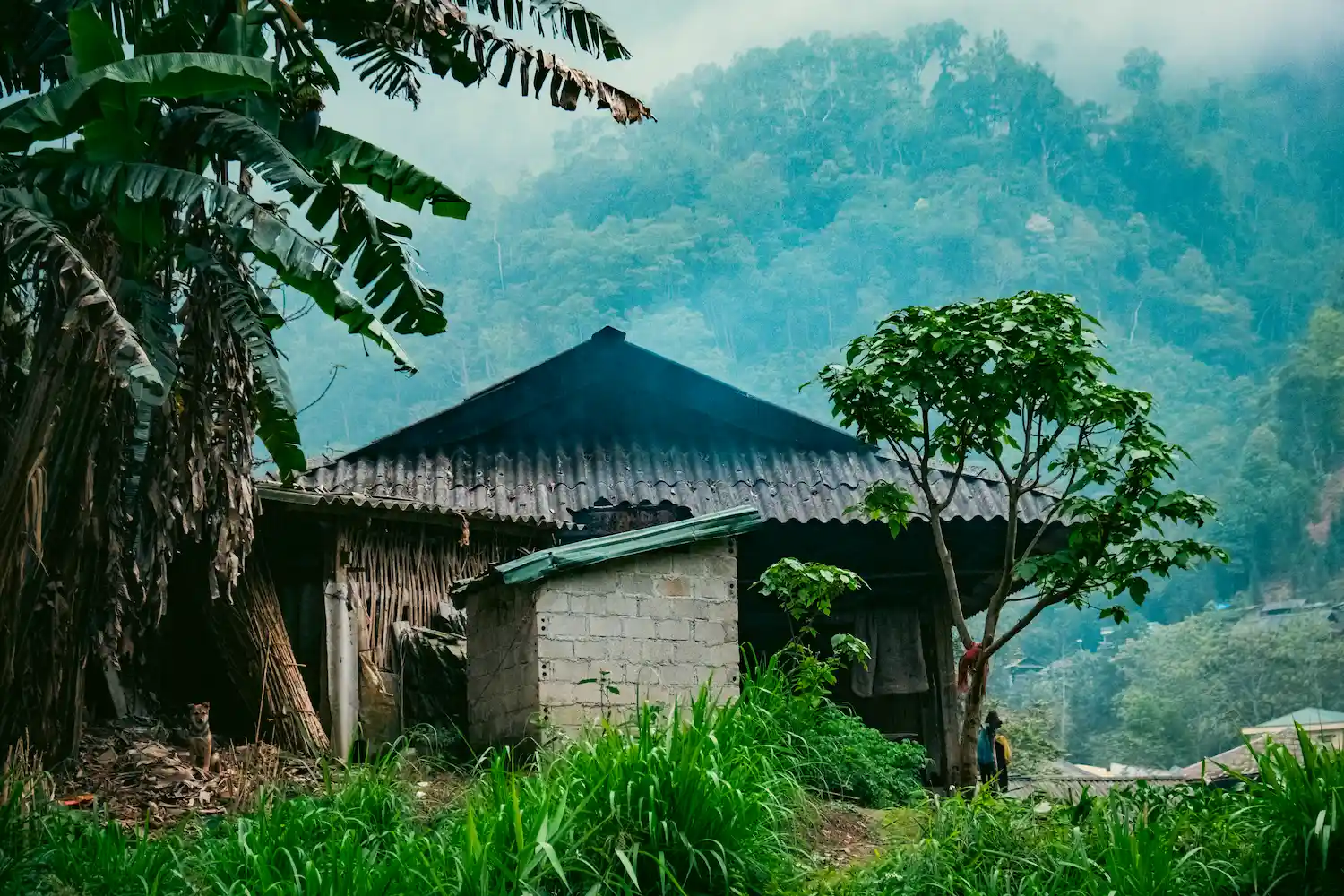 a house in the woods-day 3-4-Day Private Tour – Motorbike flipside vietnam